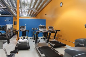 Treadmills with both upright and recumbent stationary  bicycles in the background