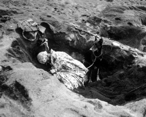 A Marine with the 7th War Dog Platoon, 25th Marine Regiment, takes a nap while Butch, his war dog, stands guard. Iwo Jima, 1945