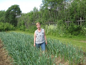 Carol Godbout-Kinney in the middle of her garlic patch