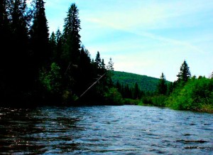 The Little Tobique River is beautiful and pristine... for now. Joe Gee photo