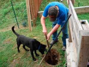 Buster lends a helping paw no matter how tough or dirty the job is!