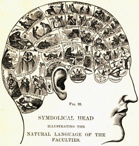 A Vintage Phrenology Diagram. Phrenology was  popular “pseudo-science” that claimed one could determine personality by the development of a person’s skull
