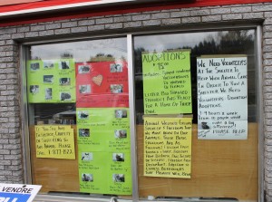 The front window of the SPCA Thrift Store is a testament to the dedication and love the volunteers have for abandoned and homeless pets.