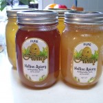 Raw Honey from Hollins Apiary