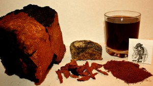 Whole chaga fungus pieces  with shredded and ground chaga and a glass of chaga tea    Joe Gee photo
