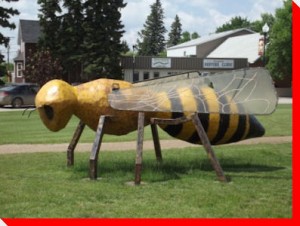 img 3 honeybee