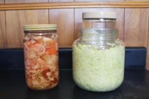 My first batches of fermented vegetables! The kimchi is on the left, and sauerkraut on the right. I have a  smaller jar full of  water  in the 1/2 gallon sauerkraut jar to weigh down the shredded cabbage so  that  it stays submerged in the brine