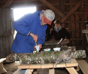 Inoculating the log with the Shiitake mushroom spawn