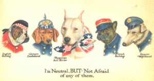 American Military Poster ca 1915 Bull Terriers were considered the quintessential American dog...tough, loyal and fearless