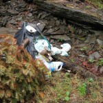 Nature Hikes are now Garbage Tours….